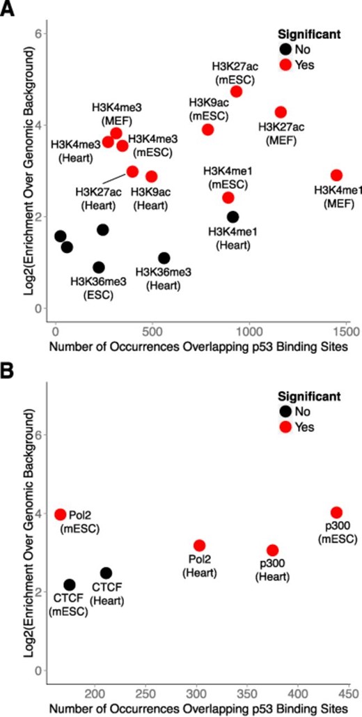 p53 regulation occurs predominantly within enhancer-like regions in primary mouse embryonic fibroblasts. (A) Enrichment analysis of p53 binding sites within modified chromatin across several mouse cell types. (B) Enrichment analysis of transcription factor co-occurrence with p53 binding sites across several mouse cell types.