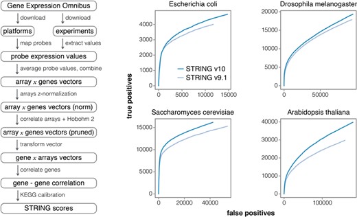 Improved Co-expression analysis. STRING v10 features a completely re-designed pipeline for accessing and processing gene expression information. Left: overview of the individual steps; note that redundant expression experiments are now detected and pruned automatically. Right: improved benchmark performance of the resulting co-expression links, relative to the previous version of STRING, in four model organisms (ROC curves). The benchmark is based on the KEGG pathway maps; predicted interactions are considered to be true positives when both interacting proteins are annotated to the same KEGG map.