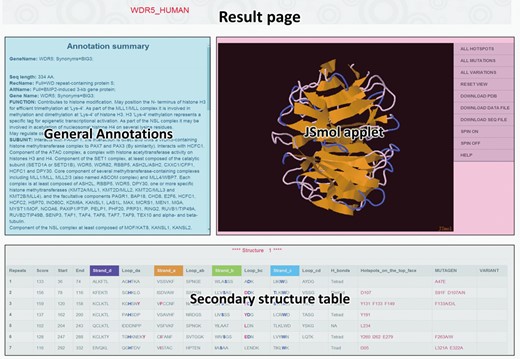 The result page for each identified WD40-repeat protein, which comprises general annotation from UniProt database, JSmol applet presenting the predicted 3D structure and the detailed secondary structure table.