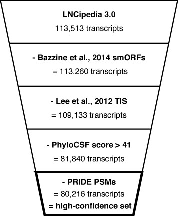 Transcripts with a likely coding potential are removed in the definition of a high-confidence set. Transcripts containing small ORFs (25), TIS (24), PhyloCSF score greater than 41 or PSMs with an identification confidence higher than 90% are excluded.