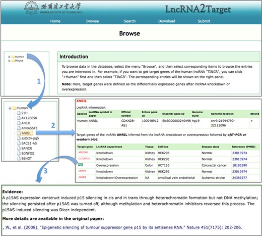 Screenshot of how to browse the target genes of lncRNA ‘INRIL’.
