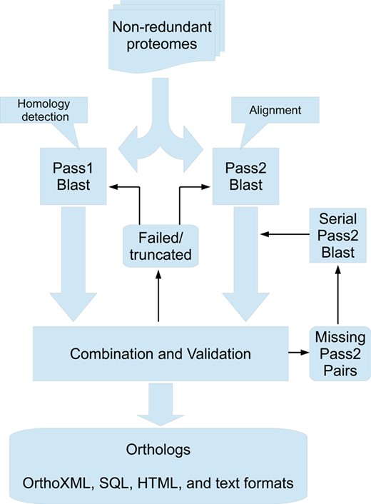 Workflow for the parallel 2-pass BLAST procedure used for generating InParanoid 8. BLAST runs are launched for all pairs of proteomes, running both passes in parallel. When both passes are finished, their outputs are validated by checking for truncation or failure to complete. Intra-proteome matches are checked against the proteome sequences to ensure inclusion of all genes. Pass 1 pairs are combined with pass 2 results such that only pairs accepted in pass 1 are kept, but with alignments from pass 2. A failed validation will either lead to a whole proteome rerun for failed/truncated results or individual serial pass2 reruns for pass1 pairs lacking pass2 results.