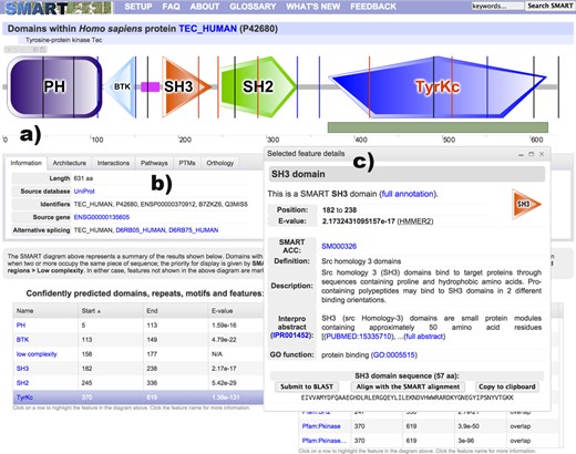 SMART annotation page for protein TEC_HUMAN. (a) Protein schematic representations are displayed using an interactive Flash applet. Schematics are zoomable without quality loss and exportable into high resolution bitmap images. Protein features selected in various data tables are dynamically highlighted directly in the viewer. Using the interactive scale, any protein region can be selected and submitted for further BLAST analysis. (b) The tabbed interface collects various sources of external information about the protein analyzed. (c) A movable and resizable popup dialog displays the most important bits of information for any selected feature, with links to complete annotation.