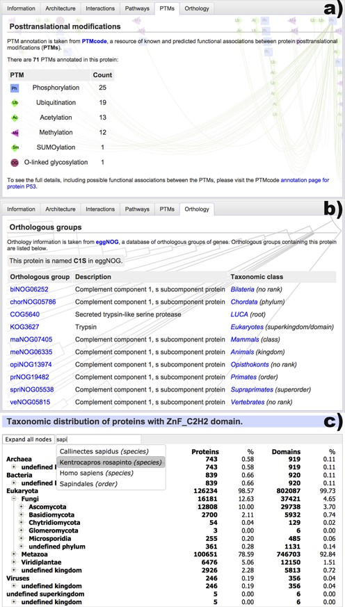 New data sources included in the protein annotation pages and the redesigned taxonomy viewer. (a) A list of post-translational modifications present in the protein, as annotated by PTMcode (11). More than 60 types of modifications are included. (b) Orthologous groups that contain the protein, as annotated by eggNOG (12). Group descriptions and taxonomic classes are listed. (c) New taxonomic breakdown viewer, which supports very large trees and provides quick navigation through the integrated full text search engine.