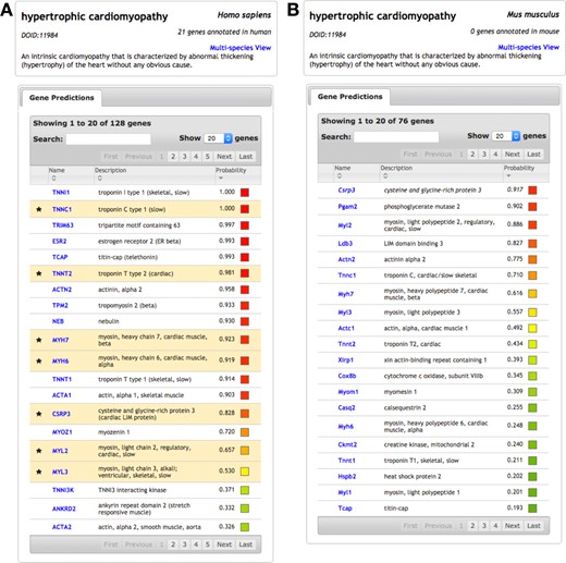 Disease result pages for ‘hypertrophic cardiomyopathy’ in IMP. (A) Querying ‘hypertrophic cardiomyopathy’ in human returns a list of genes predicted to be involved in the disease, sorted by probability. IMP applies known hypertrophic cardiomyopathy genes in human (from OMIM) to predict additional genes from the human functional network. (B) The same disease query can be performed in mouse, returning predicted mouse genes. These predictions were learned using human disease genes transferred to mouse with the mouse functional network.