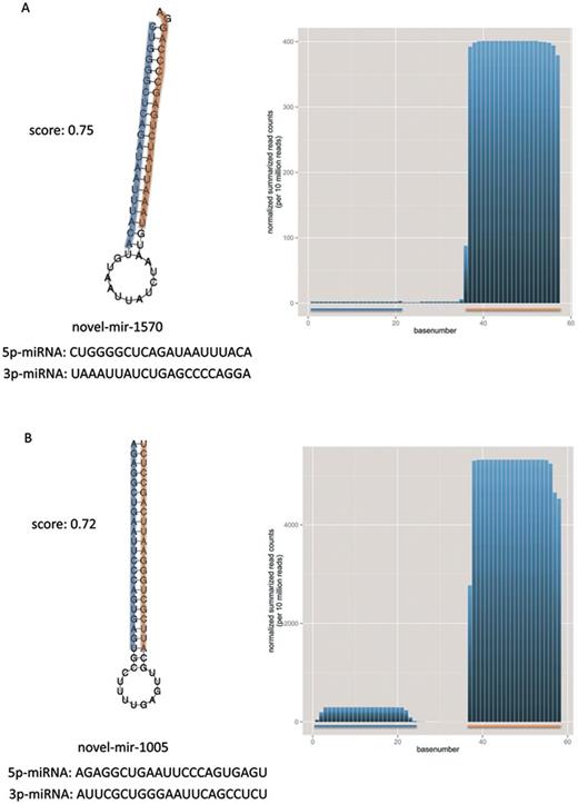 Selected examples of secondary structures for miRNA precursors having a good score in our ranked list. Each panel presents one miRNA precursor along with the 5p- and 3p-miRNA in orange and blue. Additionally, the mature sequences and the overall distance (score) from the reference distribution (miRBase v1–7) is provided, as well as the summarized normalized base counts (per 10 million reads) over all samples for these precursors are illustrated.