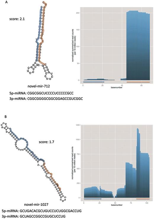 Selected examples of secondary structures for miRNA precursors having a bad score in our ranked list. Each panel presents one miRNA precursor along with the 5p- and 3p-miRNA in orange and blue. Additionally, the mature sequences and the overall distance (score) from the reference distribution (miRBase v1–7) is provided, as well as the summarized normalized base counts (per 10 million reads) over all samples for these precursors are illustrated. Panel A shows the most divergent miRNA precursor according to our score. Panel B shows the miRNA precursor with overall highest length.