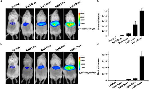 In vivo study of the synergistic and antagonistic dual-input genetic circuits. Mice were co-transfected with 100 μg of pT6U3-Fluc, 10 μg of pGAVPO and 10 μg of prTetR-VP16 (A) or 100 μg of pTetR-KRAB (C) via a hydrodynamic procedure. The mice were then fed in cages with glass bottoms in darkness without (Dark Dox-) or with (Dark Dox+) Dox, or in 90 mW·cm−2 blue light irradiance without (Light Dox-) or with (Light Dox+) Dox. Mice got injection of only Ringer's solution without any plasmids and kept in darkness without Dox addition were used as the control. In situ imaging of firefly luminescence was carried out 12 h after intravenous injection of plasmids by tail intravenous injection of D-luciferin (150 μg/g of body weight, i.p.) under ether anesthesia. (B) and (D), a region of interest (ROI) was drawn around each liver location, and the number of photons/second was calculated. The data are shown as the mean ± SD (n = 3–4).