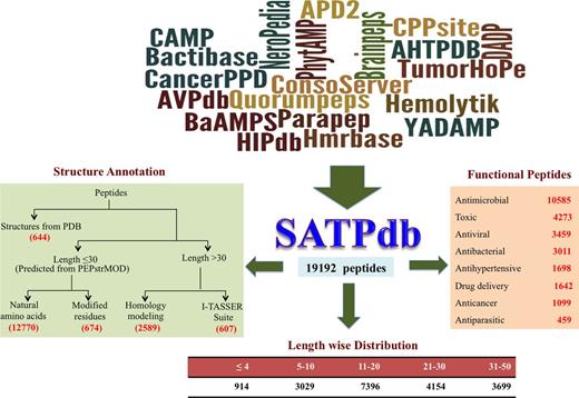 Schematic representation of architecture of SATPdb.