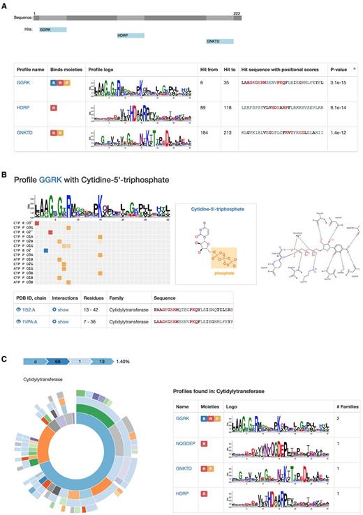 Screenshots with examples of data obtained for CTP ligand. (A) Sequence search results for cytidyltransferase; The list of profile hits and their sequence matches are provided in the table, and the hits are mapped onto the subject sequence. (B) EFL profile GGRK that binds phosphate in Cytidine-5′-triphosphate (CTP). The matrix shows all interacting ligands, ligand parts and atoms with CTP triphosphate group highlighted in orange; The table below shows structural examples of interactions with a 2D interaction plot generated by PoseView (right). (C) SCOP family view for Cytidyltransferase family shows the list of EFL profiles found in the family.