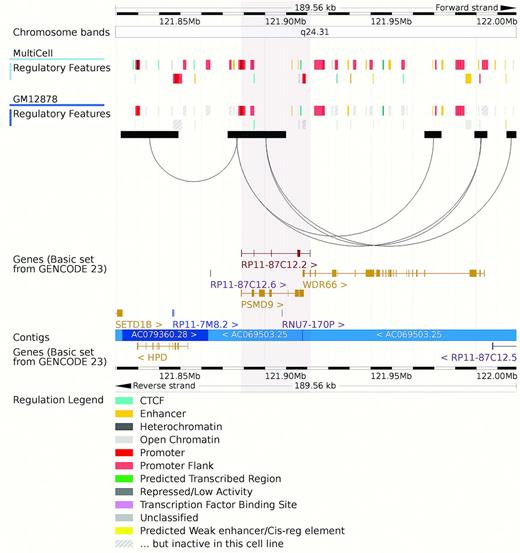 Ensembl's location view showing the drawing of long-range interaction arcs and new region marking tool. The grey boxes indicate HindIII fragments and the arcs represent selected significant interactions between promoters and their distal interacting elements, measured using high resolution Capture Hi-C in the GM12878 lymphoblastoid cell line and displayed for the GRCh38 assembly (43). The summary Ensembl Regulatory Build and the GM12878 specific regulatory activities are also shown. Our region marking tool is shown as a light grey box surrounding the transcripts PSMD9 and RP11–87C12.2.
