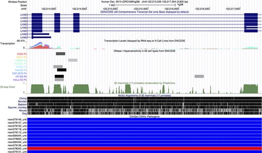 Genome Browser screenshot focused on a region of the LHX6 gene that highlights a selection of the new tracks added in the previous year for the hg38/GRCh38 human assembly. The tracks shown in this display (from top to bottom) include GENCODE Genes V22, transcription levels assayed across 9 ENCODE cell lines, DNase hypersensitive regions based on data from 95 ENCODE cell lines, genome-wide conservation scores calculated using phastCons, a multiple genome alignment created using Lastz and Multiz, and pathogenic CNVs from the ClinGen database. This screenshot demonstrates how one can use the ENCODE transcription levels and DNase hypersensitive regions in the Genome Browser to identify expression of different transcripts in different cells. The multiple alignment and conservation scores can be used to look for other potential regions of importance. Lastly, one can use the ClinGen CNVs and other pathogenicity data in the browser to determine what role, if any, a particular gene plays in disease.