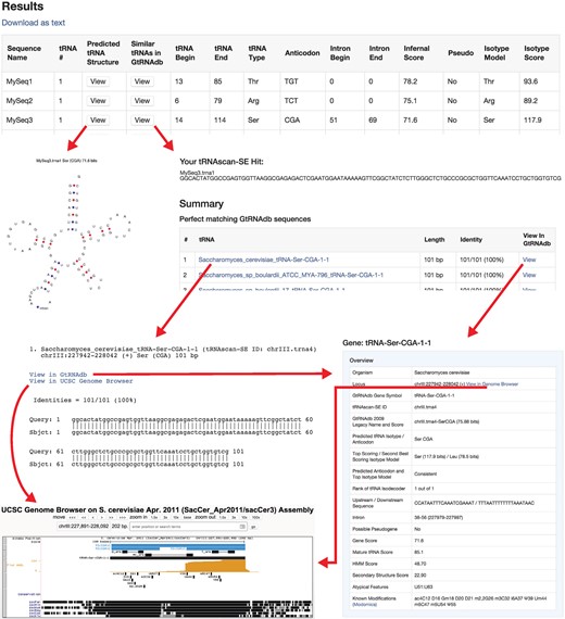 Example tRNAscan-SE Search and Contextual Analysis. The Saccharomyces cerevisiae tRNA-SerCGA is analyzed using the tRNAscan-SE web server in default eukaryotic search mode. The red arrows show the analysis path from viewing the predicted tRNA results to finding the matching tRNA gene in GtRNAdb (3), to exploring the tRNA gene in context with tRNA modifications and gene expression data in the UCSC Genome Browser (10).