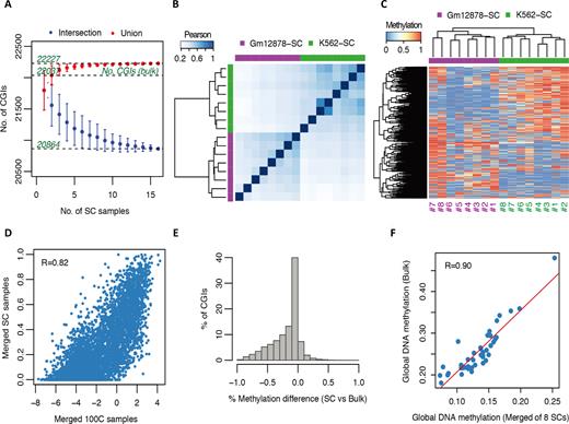 scCGI-seq. (A) Intersection and union coverage of CGIs across 16 single cells (SCs) with K562 and GM12878 analyzed together. (B) Unsupervised clustering based on Pearson correlation of CGI methylation profiles of scCGI-seq analysis across 16 SCs. (C) Unsupervised heatmap of top 1000 variantsof CGI methylation profiles on scCGI-seq analysis across 16 SCs. (D) Scatter plot between merged eight SCs and merged 100-cell methylation scores across all CGIs of the scCGI-seq analysis for K562 cell line. The imperfect correlation may due to different algorithms used for CGI-seq and scCGI-seq, and the limited number of single cells merged. (E) CGI methylation differences between averaged scCGI-seq values of eight SCs and ENCODE bulk M450Kresults of K562 cell line. (F) Global DNA methylation level of 41 classes of different regulatory markers (the same as in Figure 3B) between the averaged scCGI-seq analysis of eight SCs and the ENCODE bulk RRBS result of K562 cell line.