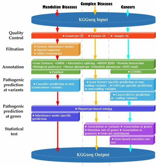 Main modules in KGGSeq for three types of diseases. Note: KGGSeq integrates a series of functions for quality control, filtration, annotation, pathogenic prediction and statistical tests for three types of human diseases: Mendelian diseases, complex diseases and cancers. Please see more description of the pipelines in the Supplementary text.