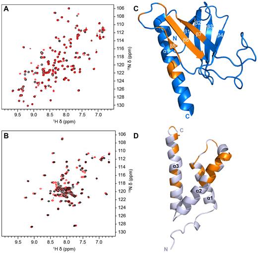 Nuclear magnetic resonance (NMR) spectra of p65TA1 binding to Tfb1PH and CBPKIX. (A and B) Overlay of the 2D 1H-15N-HSQC NMR spectra of 15N-Tfb1PH (A) and 15N-CBPKIX (B) either in the absence (black) or in the presence (red) of two equivalents of p65TA1. (C) Residues that undergo significant chemical shift perturbations (>0.05 ppm) in the 2D 1H-15N HSQC spectrum upon addition of p65TA1 to 15N-labeled Tfb1PH are mapped in orange onto the structure of free Tfb1PH (in blue, PDB ID: 1Y5O (33)). (D) Residues that undergo significant chemical shift perturbations (>0.1 ppm) in the 2D 1H-15N HSQC spectrum upon addition of p65TA1 to 15N-labeled CBPKIX are mapped in orange onto the structure of CBPKIX (in silver, PDB ID: 2AGH (55)).