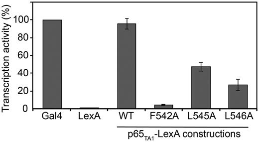Identification of key residues required for p65TA1 transactivation. LexA-fusion proteins of p65TA1 and mutants were co-expressed in yeast with the reporter for the LexA operator-Lac-Z fusion plasmid pSH18–34. The percentage of activity for each fusion proteins is shown relatively to the positive control LexA-GAL4 (474–881), which was set to a maximum of activity (100%). Data represent mean and standard deviation obtained over at least six independent experiments.