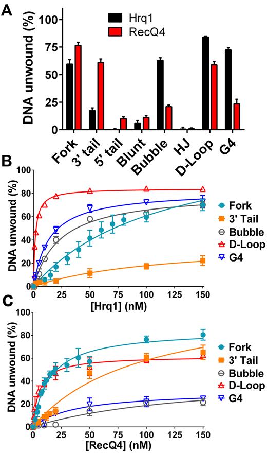 Hrq1 and ReQ4 preferentially unwind D-loops. (A) DNA unwinding by 100 nM Hrq1 (black) and RecQ4 (red). (B and C) Helicase activity as a function of Hrq1 (B) or RecQ4 (C) concentration. Both helicases display the highest unwinding activity on the D-loop substrate.