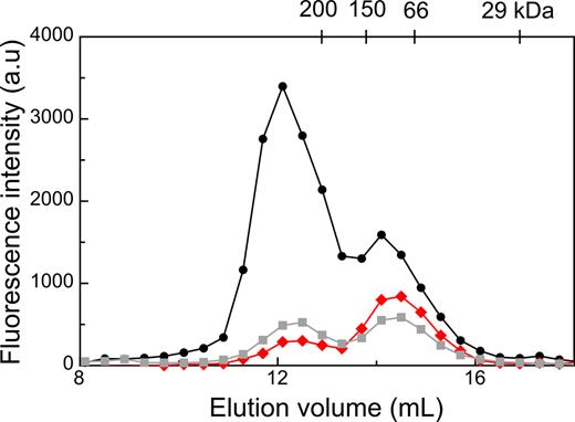 Size exclusion chromatography of purified Strep-Tagged-GFP-Mrr injected at 155 nM (black circles) or 35 nM (red diamonds), and of the fractions collected between 11.7–12.5 ml re-injected on the column (gray squares). Fluorescence intensity in the elution fractions was detected in a fluorescence plate reader using and 488–528 nm excitation-emission. The elution volume of the molecular weight markers used for calibrating the column is indicated on top.