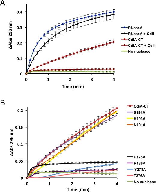 Phosphodiester hydrolytic activity of CdiA-CTYkris. (A) cCMP hydrolysis was monitored by measuring the absorbance of 3΄-CMP at 296 nm over time. Reactions were supplemented with CdiIYkris where indicated. (B) Phosphodiester hydrolytic activities of CdiA-CTYkris variants were monitored as described for panel A. The same wild-type CdiA-CTYkris data in panel A is also used for panel B. All experiments were performed in triplicate.