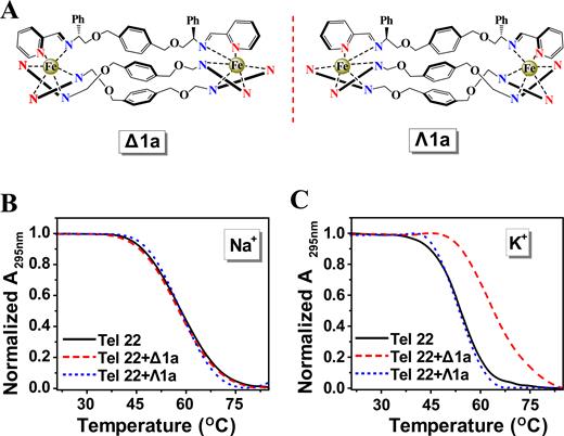 (A) Structure of Δ1a and Λ1a cations. UV melting profiles of the Tel22 in the absence and presence of Δ1a or Λ1a in Na+ buffer (B) and K+ buffer (C). Melting assays were measured in 10 mM Tris buffer containing 10 mM KCl or 100 mM NaCl, pH = 7.2. The concentration of Δ1a/Λ1a was equivalent with the concentration of Tel22 (1 μM in strand).