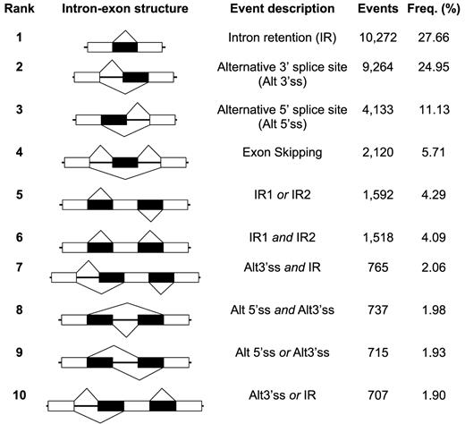 Top 10 most frequent types of AS events/event combinations in AtRTD2 according to AStalavista (63). The intron-exon structure of the AS events are illustrated (exons are denoted by boxes and introns are thick black lines, except AS regions which are shown as black boxes), followed by the event description, the raw number of events found in AtRTD2 and their frequency. Additional AS events are given in Supplementary Table S4.