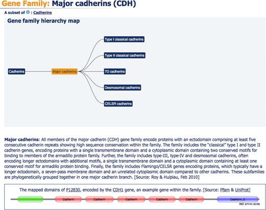 A section of the ‘Major cadherins’ gene family report page, showing a gene family hierarchy map, the gene description and the protein domain structure of a representative gene within this family.