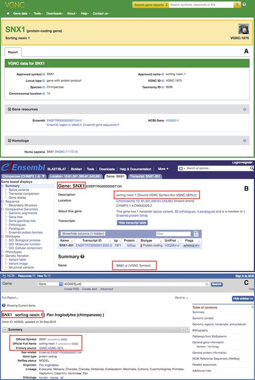 Section (A) shows a sample gene symbol report from the VGNC website. Sections (B) and (C) show the inclusion of VGNC gene symbols and names in the Ensembl and NCBI gene resources, respectively.