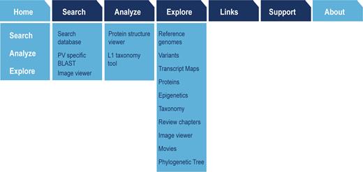 Information Architecture of the PaVE Web Resource. Architecture of the redesigned PaVE web interface, showing the three main ways to access the data and tools using the concepts of ‘Search, ‘Analyse’ and ‘Explore’.