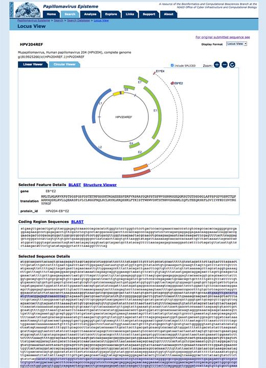 Circular genome browser. The PaVE locus view allows users to toggle between a linear and circular (shown here) representation of the viral genome. Viral features annotated to HPV204 are shown and can be selected. The ‘selected feature details’ window displays additional information about the ORF. The ‘coding region sequences’ window shows the nucleotide sequence for the selected ORF. Sequences can be further analysed using BLAST or the PaVE structure viewer (1). Finally, the relative position of the selected feature is displayed.