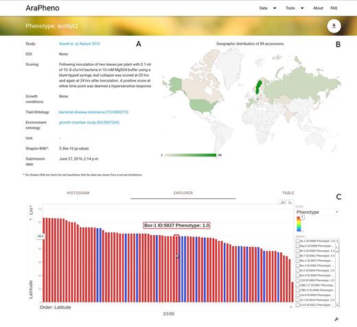 Screenshot of the detailed view for a phenotype of interest (https://arapheno.1001genomes.org/phenotype/43/). (A) General information such as ‘Scoring’ or various ontology terms are displayed in text form. (B) The geographic distribution of the samples that were scored are displayed as a GeoChart. (C) A powerful Explorer widget relates the phenotype value of each sample to its geographic location, thus bringing out potential geographic patterns.