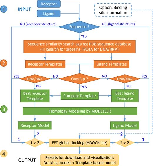 The workflow of the HDOCK web server that is divided into four stages: (1) data input, (2) sequence similarity search, (3) structure modeling and (4) FFT-based global docking in which priority is given to user-input structures.