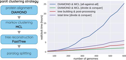 panX analysis pipeline. PanX uses DIAMOND (24) and MCL (26,27) to identify clusters of homologous genes from a collection of annotated genomes. These clusters are then analyzed phylogenetically and split into orthologous groups based on the tree structure. The graph on the right shows the time required to identify orthologous clusters in pan-genomes of different size on a compute node with 64 cores. The naive all-against-all comparison with DIAMOND scales quadratically with the number of genomes (blue line, ‘DIAMOND & MCL [all-against-all]'). The “divide and conquer” strategy where clustering is first applied to batches of sequences and batches are subsequently clustered (see text) reduces this scaling to approximately linear (green line). Tree building and post-processing take about as long as the clustering itself for pan-genomes of 500 genomes.