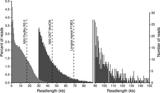 Length distribution of PacBio (RSII platform with BluePippin size selection, light gray) and ONT reads (MinION 1D2 libraries, dark gray). ONT can generate very long reads; we here only show 1D reads above 30 kb, as shorter reads were not used for the assembly. The percentage of reads per length bin (500 bp) is shown on the left, while the number of ONT reads longer than 90 kb is shown in the right legend. Reads longer than 150 kb (115 reads in total, longest completely mappable read 288 kb) are not shown. The three dashed lines show (from left to right) the N50 read length of PacBio subreads, the N50 read length of ONT reads above 30 kb and the length of the longest repeat in the P. koreensis P19E3 genome.