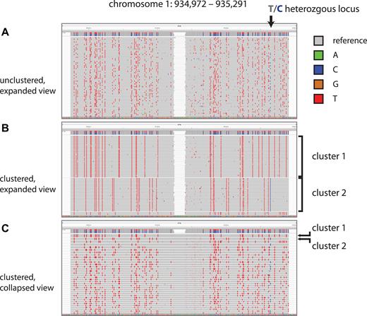Read clustering by sodium bisulfite conversion pattern. We display IGV screenshots of muSeq reads from a 320-bp restriction fragment from chromosome 1. (A and B) show an expanded view of the first 60 read pairs mapped to the reference-top (RT) strand of this restriction fragment. Nucleotides matching the reference sequence are grey, with differences marked in colors reflecting the base. Notably, the red marks are homozygous C positions that converted to T. An arrow marks a heterozygous T/C position in our sample genome that is recorded as a T in the reference genome (gray) and the C allele is shown in as a blue mark. (A) Initially, the reads are randomly ordered. (B) We then cluster the reads by transitive propagation (Materials and Methods) to recover the initial template sequence. The first cluster includes 30 reads with nearly identical conversion patterns. (C) We show a collapsed IGV view of the first 37 clusters, each comprised of ∼30 reads. Clusters 1 and 2 are indicated in both panels. The heterozygous T/C position is observed as either all T or all C in every cluster.