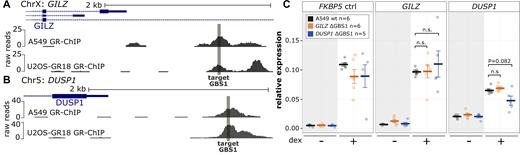 Effect of GILZ and DUSP1 GBS1 deletion in A549 cells. (A) GR ChIP-seq tag density for dex-treated (top) A549 cells and U2OS-GR18 cells (bottom) for a promoter region of the GR target gene GILZ. (B) Same as for (A) except that for the DUSP1 gene. (C) Relative mRNA expression levels as determined by qPCR for the FKBP5, GILZ and DUSP1 genes are shown for wt A549 (n = 6), clonal A549 lines with deleted GILZ GBS1 (n = 5) and for clonal lines with deleted DUSP1 GBS1 (n = 5). Circles indicate values for each individual clonal line. Horizontal lines and error bars: Averages ± SEM for cells treated with vehicle or 1 μM dex overnight. Unpaired two-sided Mann–Whitney U test: n.s. not significant, *P < 0.05, **P < 0.01, ***P < 0.001.