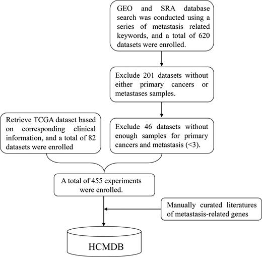 The framework for constructing HCMDB. The transcriptome data were derived from GEO, SRA, TCGA database. A series of filters were used to ensure the data quality of HCMDB. Metastasis-related literatures were manually to annotate the expression dysregulated genes.