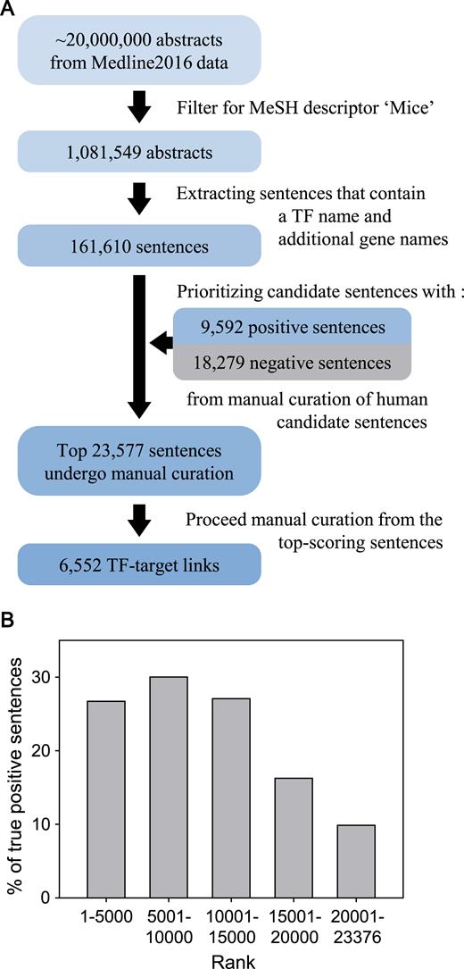 (A) An overall workflow of sentence-based text mining for mouse TF–target regulatory interactions from research articles. (B) Proportion of true-positive sentences for each bin of 5000 candidate sentences rank-ordered by scores based on the difference between the frequencies of each word based on positive gold-standard sentences and that based on negative gold-standard sentences.