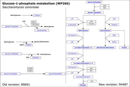 Previous and updated Glucose-1-phosphate metabolism (Saccharomyces cerevisiae) pathway diagram: the original pathway (left, Heckman, J., Chichester, C. and Willighagen, E. (2016) Glucose-1-phosphate metabolism (Saccharomyces cerevisiae). wikipathways.org/instance/WP260_r89691) represented the reactions as five separate chemical reactions and with several metabolites as text labels. After curation, the improved pathway (right, Heckman, J., Chichester, C., Willighagen, E., Slenter, D. and Kutmon, M. (2017) Glucose-1-phosphate metabolism (S. cerevisiae). wikipathways.org/instance/WP260_r94487) shows connected reactions with annotated metabolites.