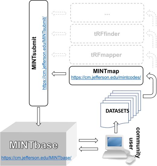 MINTbase, MINTsubmit and the flow of information. We used the MINTmap algorithm to mine nearly 12 000 public datasets for tRFs that we have incorporated in version 2.0 of MINTbase. Users can interact directly with MINTbase. Users can also process their own datasets using MINTmap or other tRF mining tools, such as tDRmapper, tRFfinder, etc. and optionally contribute their findings for inclusion in MINTbase.