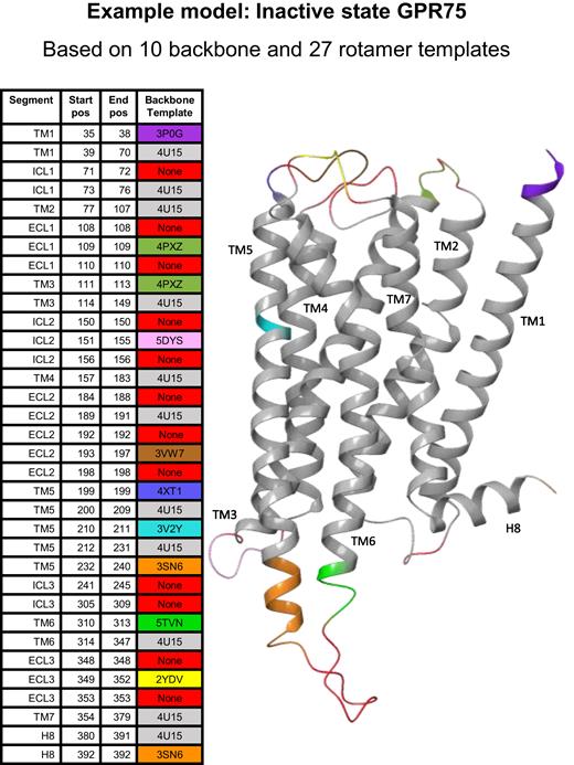 Example model of the inactive state GPR75. The colors indicate the use of 10 different backbone template to fill in lacking coordinates, elongate helices, add missing secondary structure segments to loops and to remove a main template helix bulge not shared by GPR75. Furthermore, the use of 27 sidechain templates from the GPCR position-specific rotamer library increased the percentage of residues that could be based on an identical amino acid from 15.7% to 58.2%.