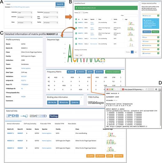 Overview of the JASPAR 2018 new web interface with interactive searching activity. (A) A quick and detailed search feature on the homepage. (B) A responsive table lists the searched profile(s), which can be further selected and added to the cart listed on the right panel for users to perform their own analyses. (C) A detailed page for the GATA3 matrix profile, which is divided into sub-panels including the profile summary, sequence logo, PFM, TF-binding information, external links, version information, ChIP-seq centrality, TFFM and other details. (D) The PFM for the GATA3 profile (MA0037.2) is downloaded in MEME format using the RESTful API.