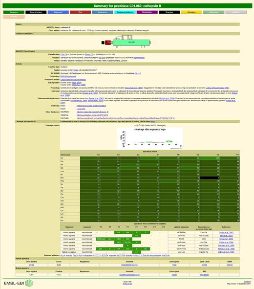 An example peptidase summary page showing cross-references to external databases. The page displaying the summary for cathepsin B is shown and includes cross-references to the Enzyme Nomenclature, TreeFam and PANTHER databases.