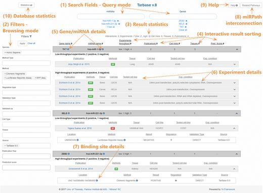 Snapshot depicting the DIANA-TarBase v8.0 interface. Users can apply a query with miRNA and/or gene names (1) or navigate in the database content through combinations of the filtering criteria (2). Positive/negative interactions can be refined with a series of filtering options including species, tissues/cell types, methodologies, type of validation (direct/indirect), database source, publication year as well as in silico predicted score (2). Brief result statistics are promptly calculated (3). Interactions can be sorted in ascending or descending order based on gene and/or miRNA names, on the number of experiments, publications and cell types/tissues supporting them (4). Gene and miRNA details, complemented with active links to Ensembl, miRBase and the DIANA disease tag cloud, are provided (5). Details regarding the experimental procedures such as the methodology, cell type/tissue, experimental conditions and link to the actual publication are presented (6). Methods are color-coded, with green and red portraying validation for positive and negative regulation, respectively. Interactions are also accompanied by miRNA-binding site details (7). Links to DIANA-miRPath functional analysis resource (8) and to an informative Help section (9) are also available. Users can navigate to the separate database statistics page (10).