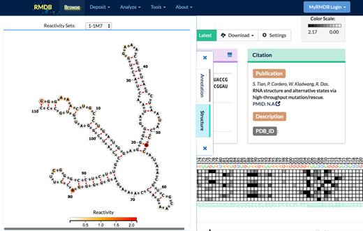 The FORNA JavaScript applet allows users to see each chemical mapping data set on a secondary structure supplied with the RMDB entry by the depositor.