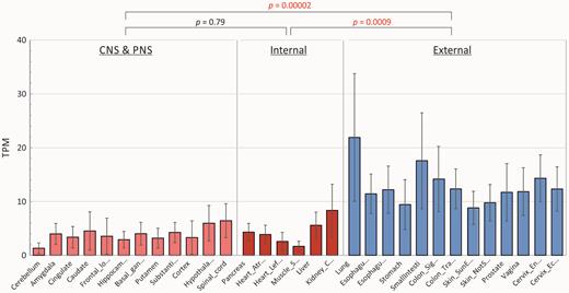 Tissue-specific expression of ZAP in different human tissues. Expression of ZAP (ZC3HAV1) mRNA sequences in different tissues quantified by RNASEQ and expressed as transcript copies/million RNAs (TPM; y-axis). Tissues were grouped into those most likely to encounter virus (external—lung, GI and GU tracts) and those of internal organs without direct environmental exposure (CNS/PNS and internal). Bar heights represent mean expression levels in each tissue for a mean number of 219 subjects (range 5–777); error bars show standard deviations of the mean. The significance of differences in mean values of tissues within each group was evaluated by the Kruskall–Wallace non-parametric test (P values shown above graph; significant values show in red).