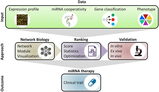 A systems biology approach to investigate the application of miRNA cooperativity in cancer therapy. The approach feeds biological data of various sources into computational methods that predict cooperative miRNAs regulating the expression of cancer genes. Experimental validation of the computational results followed by clinical trials may ultimately lead to the discovery of novel miRNA therapies for cancer.