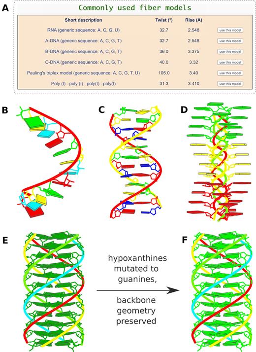 Commonly-used fiber models and in silico base mutations. (A) Six commonly used models highlighted in the ‘Fiber’ module: single-stranded RNA, double-helical A-, B-, and C-form DNA, the Pauling triplex model (32), and the parallel polyI:polyI:polyI:polyI quadruplex. (B) Single-stranded RNA fiber model of base sequence AUCGAUCGAUCG. (C) Double-helical B-DNA fiber model with sequence ATCGATCGATCG on the leading strand. (D) Pauling triplex model with each strand of sequence AAAACCCCGGGG. (E) parallel polyI:polyI:polyI:polyI quadruplex model with 12 layers of hydrogen-bonded hypoxanthine tetrads. Models in (B-E) were generated using the default settings on the w3DNA 2.0 server, each taking just two mouse clicks. (F) All hypoxanthine bases along the poly I chains mutated to guanine via the ‘Mutation’ module, leading to a parallel G-quadruplex. Color code for base blocks: A, red; C, yellow; G, green; T, blue; U, cyan; I, dark green.