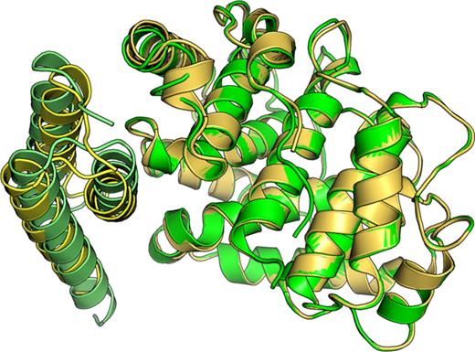 The structural alignment of the crystal structure (PDB ID: 3D5S) colored yellow and the theoretical model predicted by HawkDock (colored green).