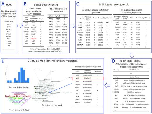 The pipeline overview of the conjunction analysis in glioblastoma (GBM) genetic candidate’s discovery. In the first part, BEERE offers a ranked order list of critical seed and expanded genes with statistical significance using the expanded network analysis. (A) The input is the 200 genetic candidate genes downloaded from OMIM databases. (B) In BEERE quality control, BEERE automatically maps the queried genes to HAPPI database gene symbols. By verifying the 172 genes matched to HAPPI database, BEERE returns 6833 PPIs passing the PPI cutoff. The network quality is good that Index of Aggregation = 0.99 and Seed’s Coverage in Network = 0.87. (C) BEERE generates the gene ranks. About 87 seed genes are statistically significant and 14 expanded genes are statistically significant. In the second part, BEERE reveals the critical mechanisms using comprehensive term mapping, heterogeneous network analysis, and term ranking. (D) About 28 biomedical entities using genes, aliases and disease terms are the input of the network meta-analysis. (E) The term ranking score distribution and term rank word-cloud intuitively show the important entities such as epidermal growth factors, amyloid genes, ubiquitin genes and tyrosine genes are tightly related to glioblastoma. The provenance of the gene to glioblastoma relationship is displayed on the selected edge such as APP affects glioblastoma with one literature support. The PMID and a link to outsource are displayed by clicking the entry with the detail of the relationships.